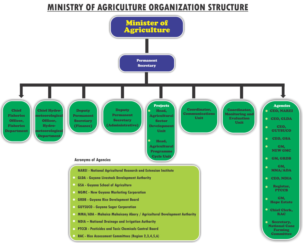 organization-structure-ministry-of-agriculture