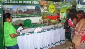 The NDIA booth at the Berbice Expo
