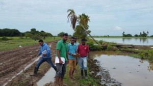 Extension officers carrying out flood assessments in Region Two rice farming areas.