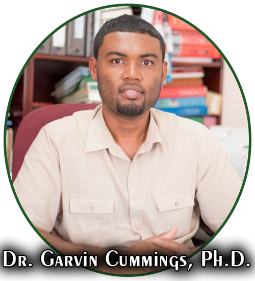 Garvin Cummings copy