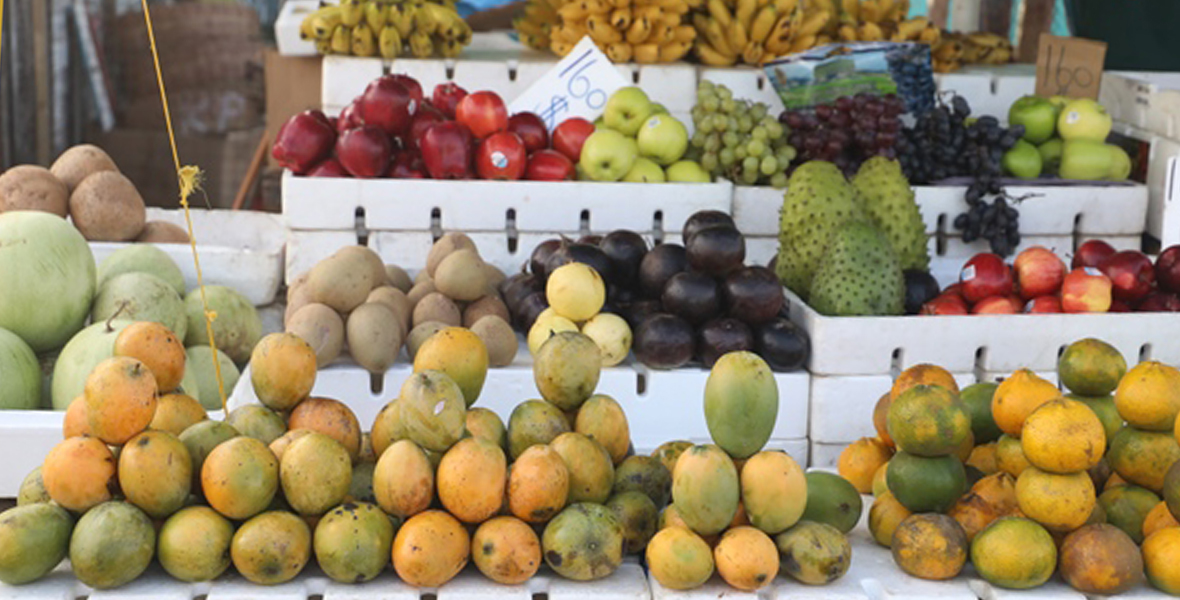Gov’t actively removing barriers to Guyana’s food exports