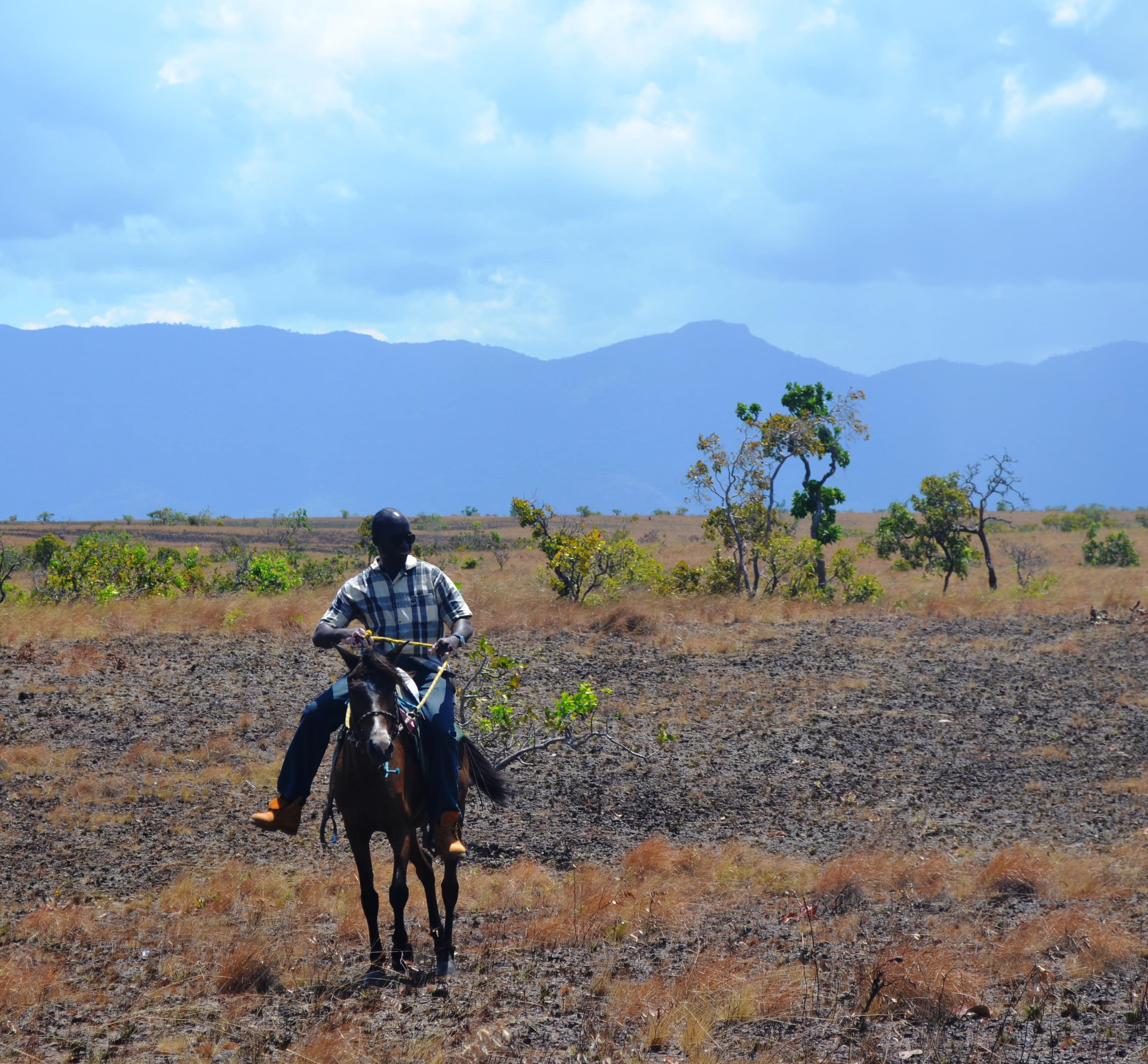 Horse back riding in the Rupununi
