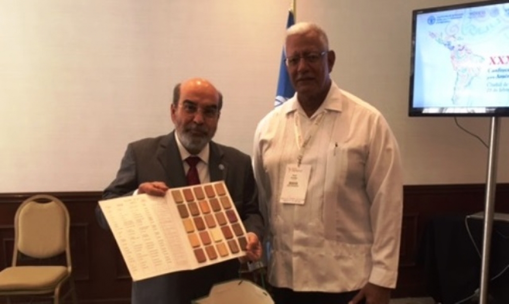 Agri Minister discusses Guyana’s Country Framework with FAO Director General