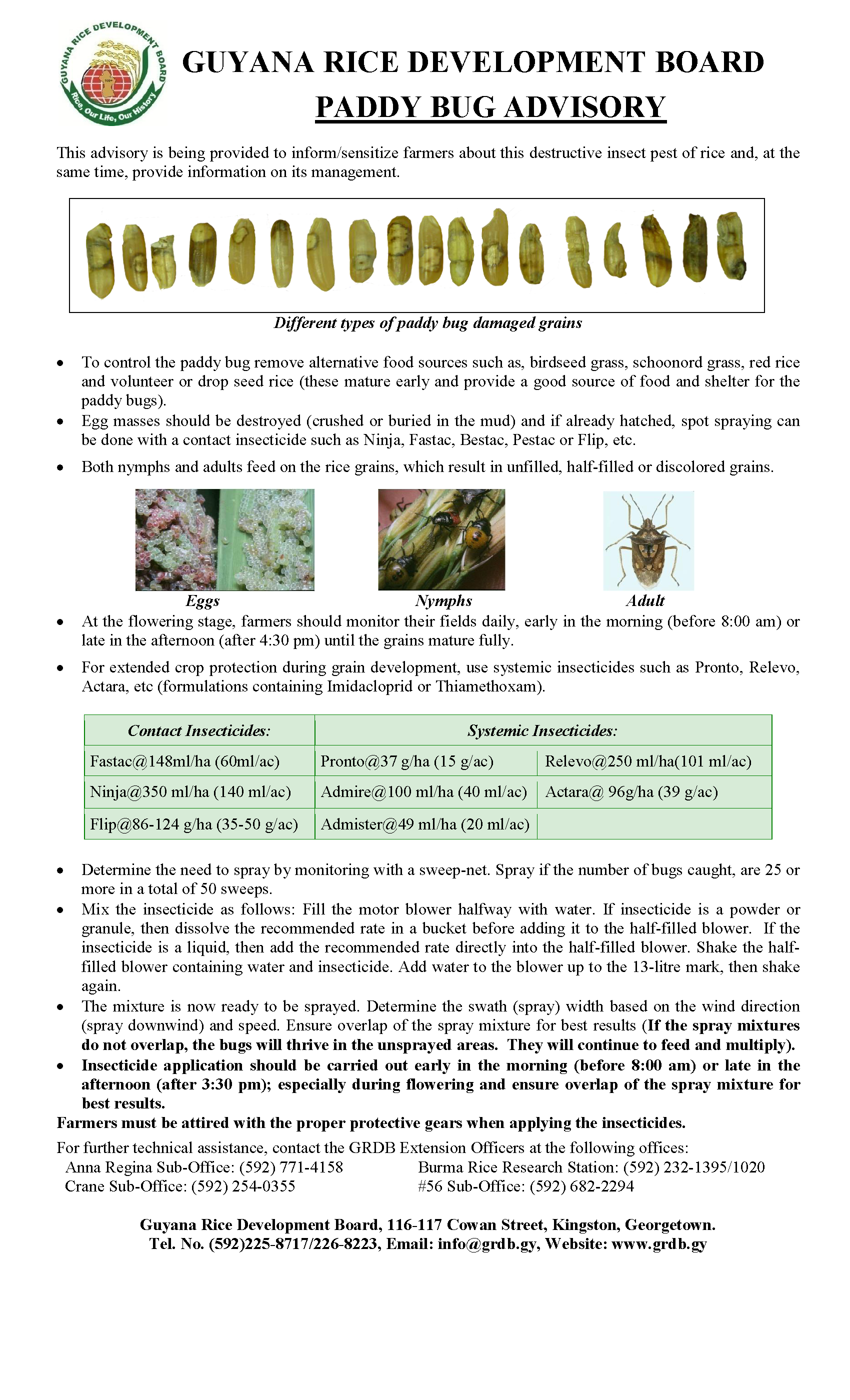 paddy bug advisory 2016