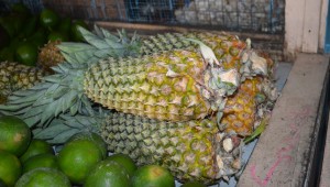 Pineapples for sale at Mon Repos Market