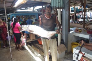 Catch of the day at Mon Repos Market