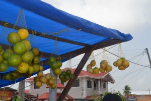 Oranges and passion fruits on sale at the market