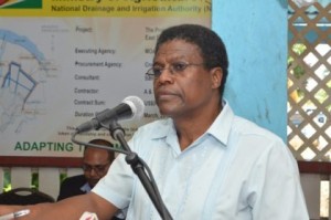 CEO acting of the National Drainage and Irrigation Authority, Frederick Flatts