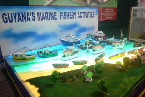 Guyana's Marine Fishery Activities model at the Berbice Expo