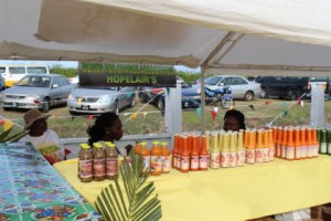 berbice-based-ngo-hopelairs-displaying-locally-produced-condiments-at-the-mma-open-day-activity