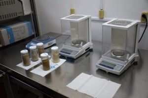 samples-awaiting-analysis-at-the-ptccb-laboratory-facilities-mon-repos-east-coast-demerara