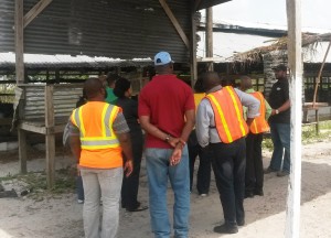 Members of the Bird Strike Committee during the visit