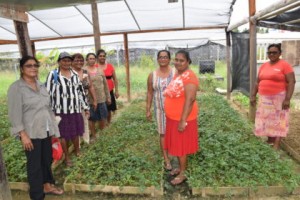 Women of the Woodley Park farmers’ group, Region Five
