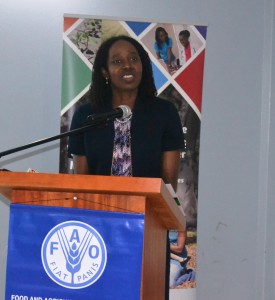 Ms. Elizabeth Riley, Deputy Executive Director, CDEMA