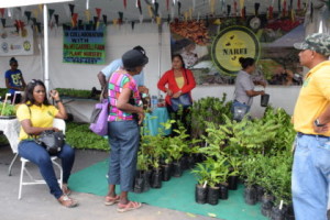 National Agricultural Research and Extension Institute’s (NAREI) booth at the Farmers’ Market