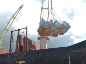 The paddy to be exported being loaded on to the ship