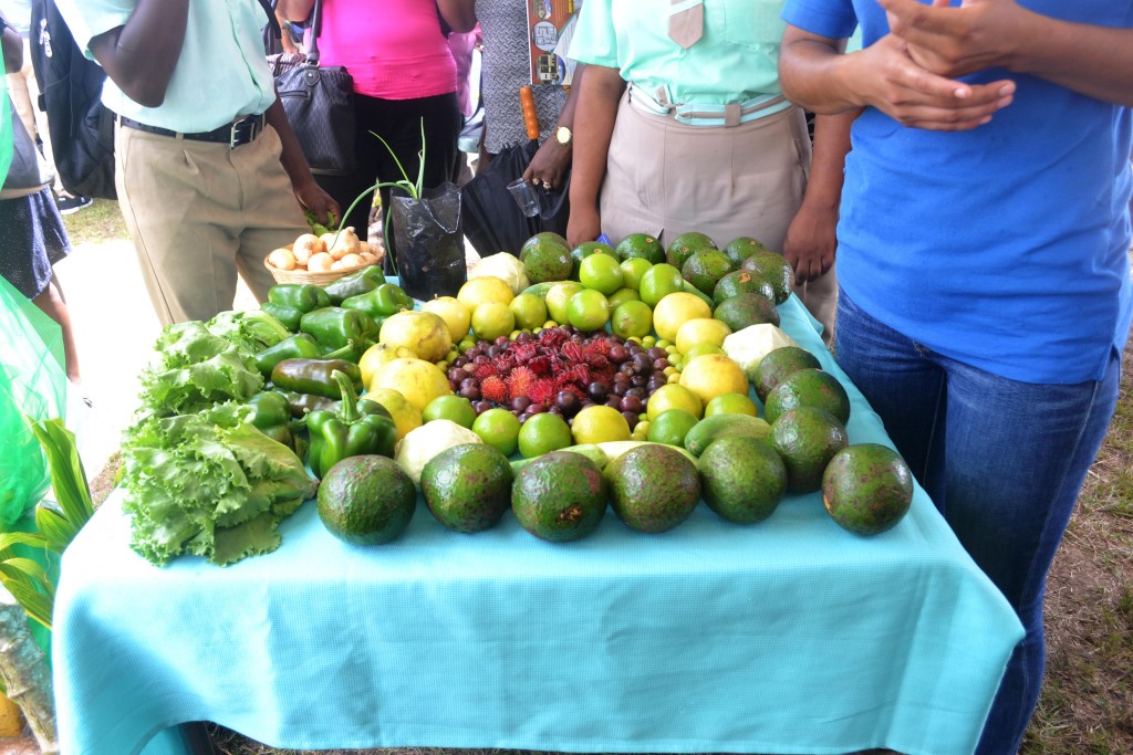 Region Ten critical to Guyana’s agricultural development and