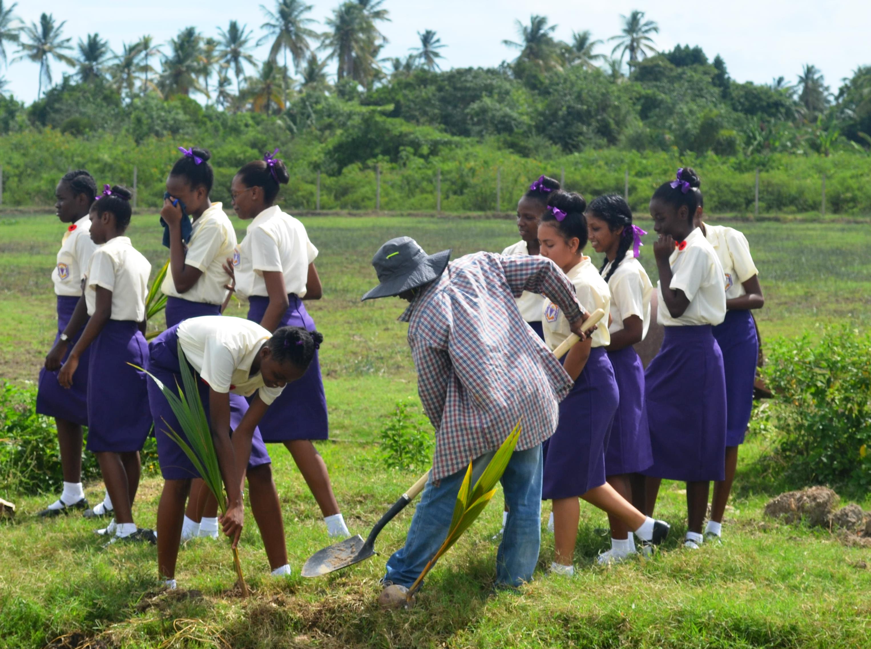 Students during the planting exercise