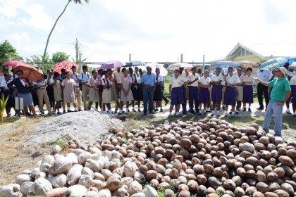 Students from the various schools as they were being given a tour of the Hope Coconut Estate.