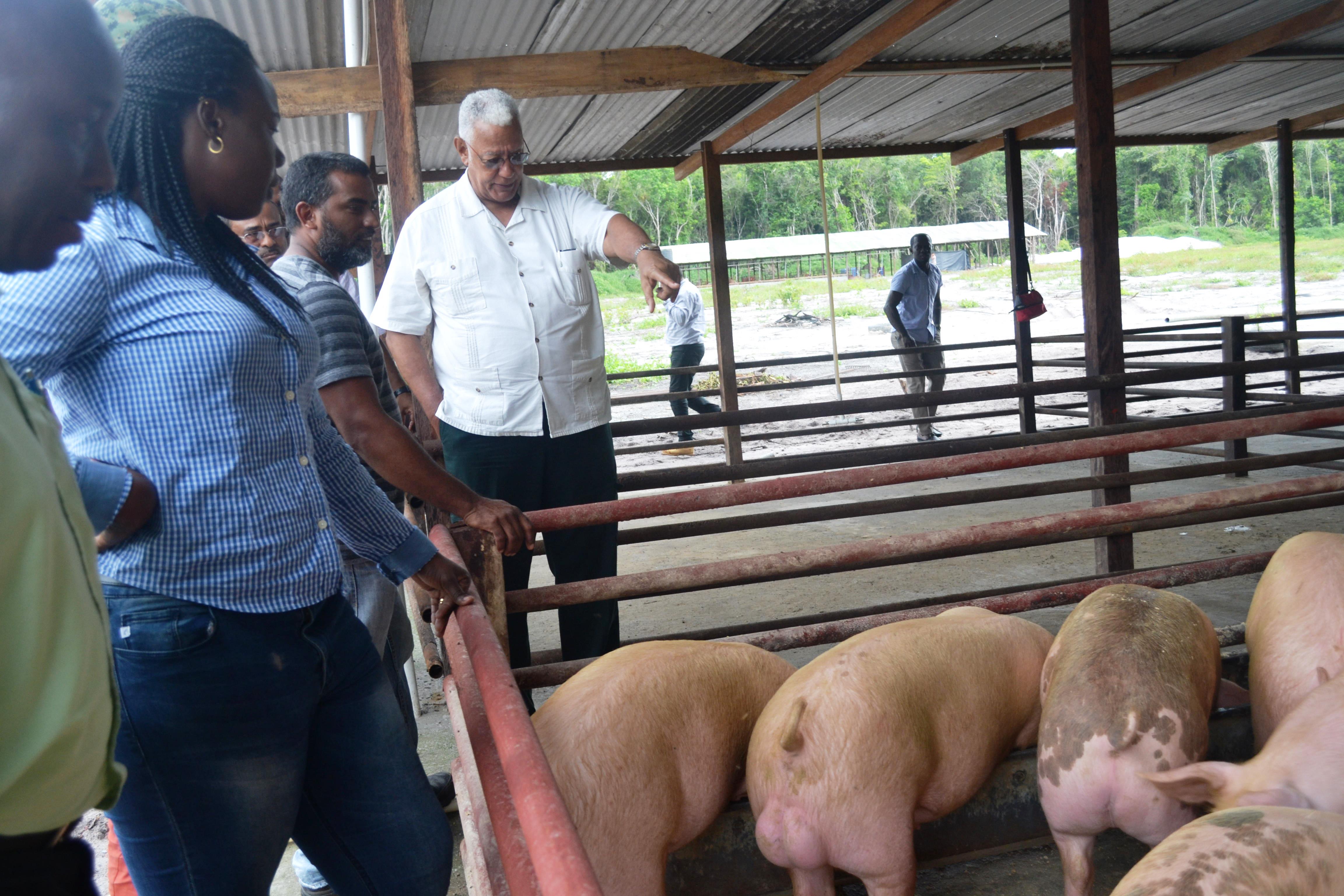Minister Holder is pictured with Mr. Stephan Low-a-Chee (third left) and other MOA officials on his pig farm