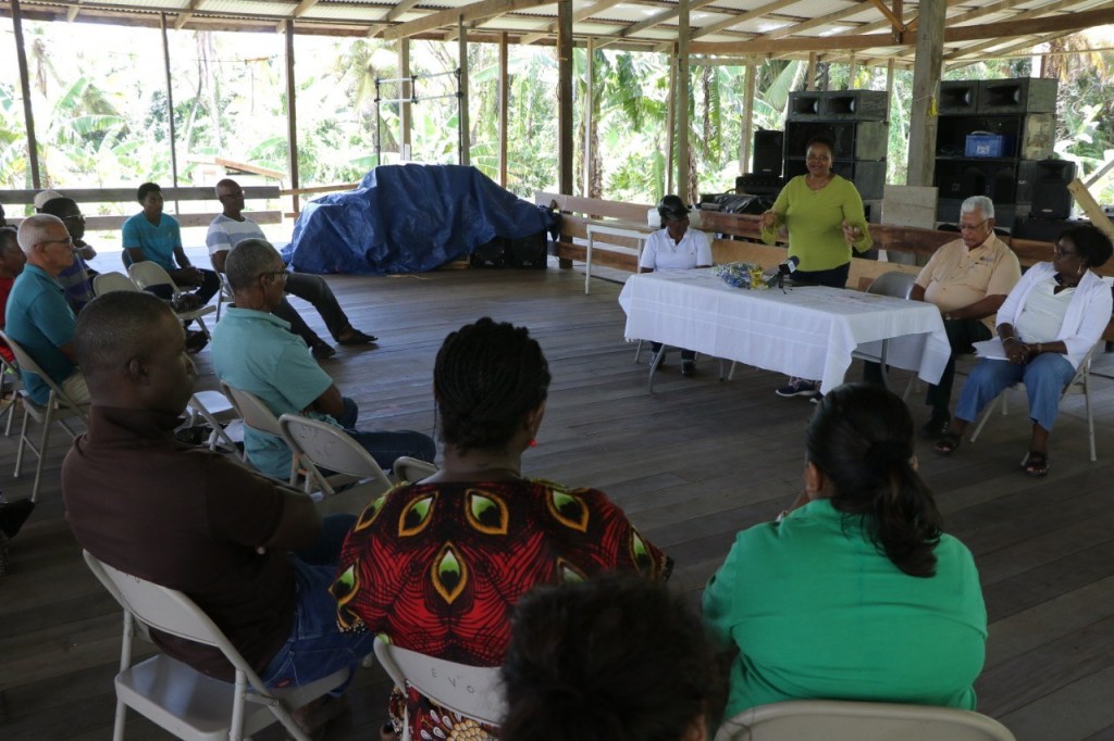Minister of Public Health, Volda Lawrence addressing the coconut farmers during a community meeting at Grant Regina in the Lower Pomeroon