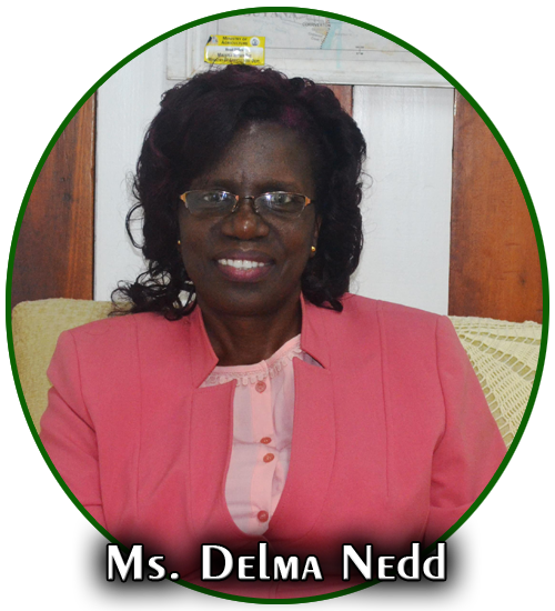 Ms Delma Nedd