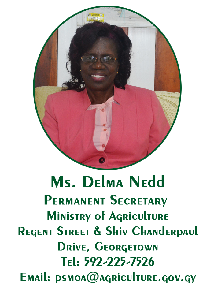 Delma Nedd copy