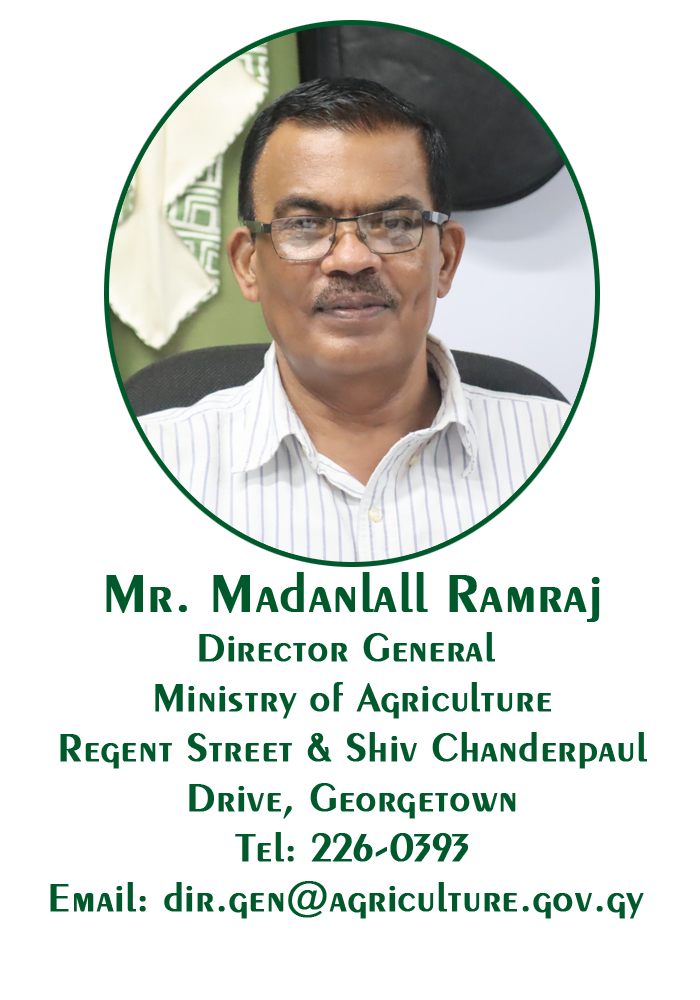 Madanlall Ramraj copy
