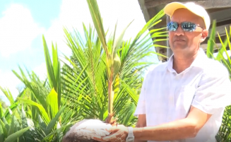 Coconut industry sees expansion – CARDI’s Executive Director
