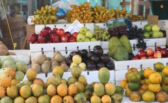 Region 9 has potential to become CARICOM’s food capital – Agri Minister