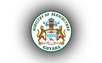 Press Statement: Government to distribute cash grants to rice farmers next week