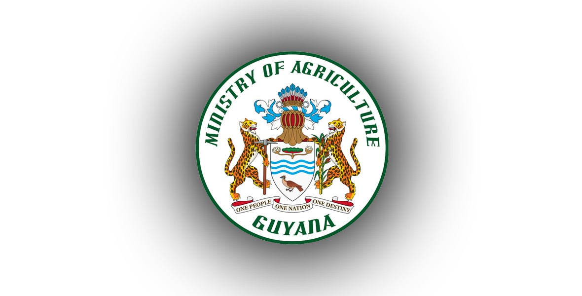 Press Statement: Government to distribute cash grants to rice farmers next week