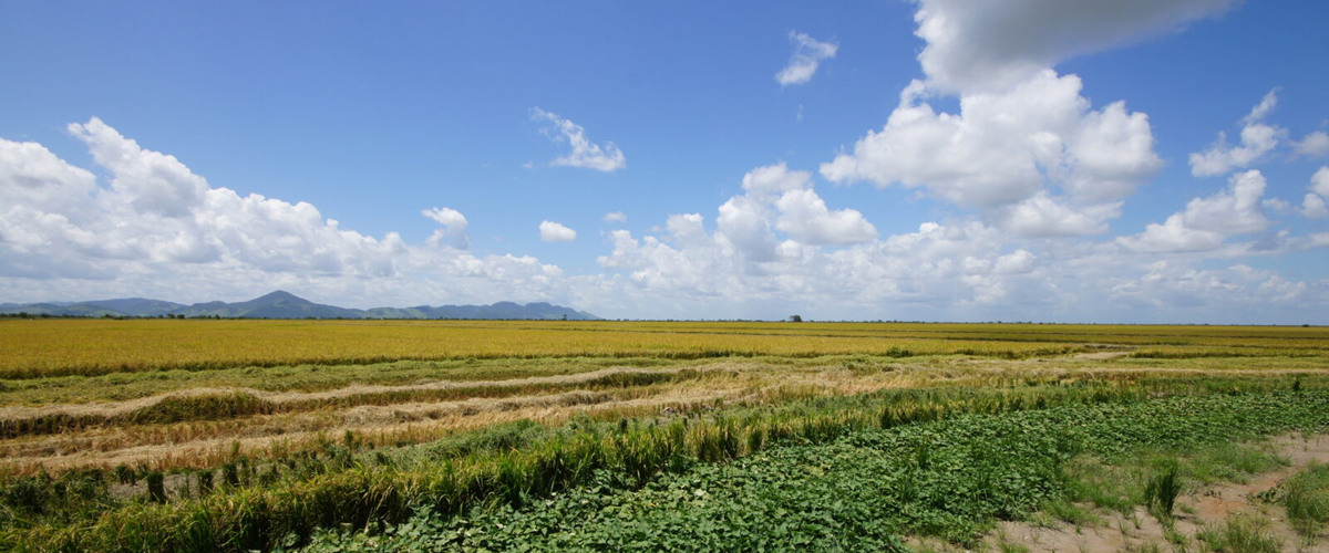 Guyana has adequate water supply amid dry spell – Min. Mustapha