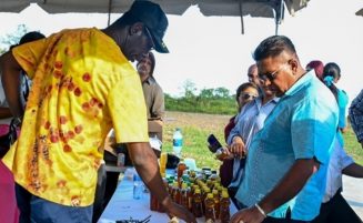 Guyana produced 18,000 gallons of honey as of October 2024