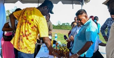 Guyana produced 18,000 gallons of honey as of October 2024