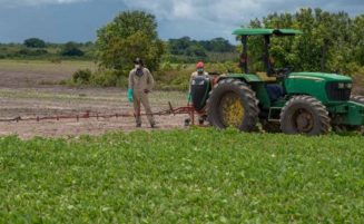 Guyana cultivated 12,000 acres of corn and soya in 2024