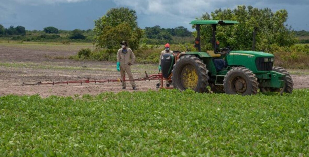 Guyana cultivated 12,000 acres of corn and soya in 2024