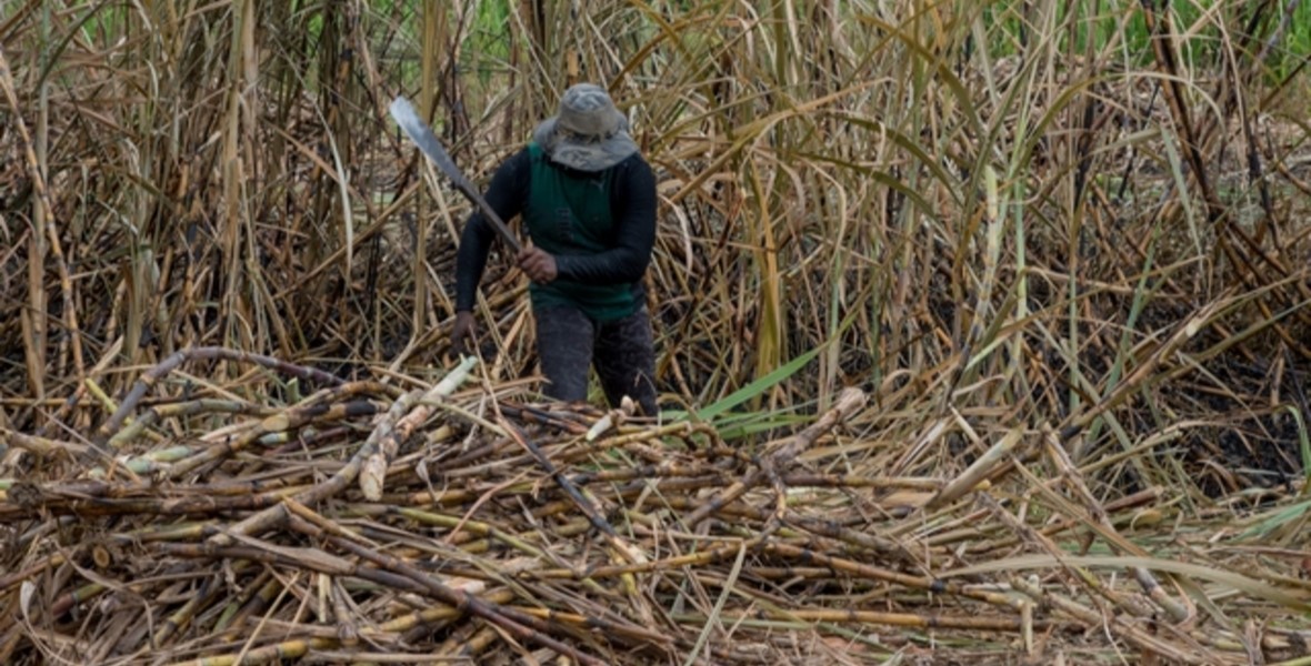 Budget 2025: $13.3B budgeted for sugar industry