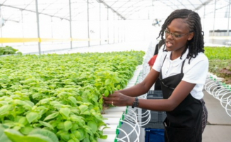 Guyana to become Caribbean’s food producing capital