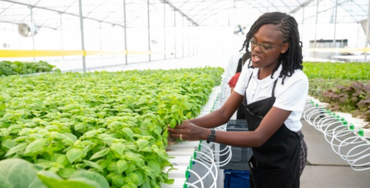 Guyana to become Caribbean’s food producing capital