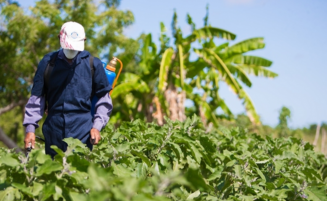 Guyana’s green revolution – modern, inclusive, and built for the future