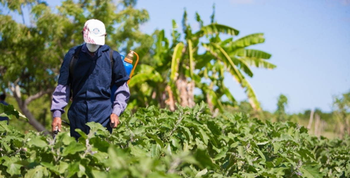 Guyana’s green revolution – modern, inclusive, and built for the future
