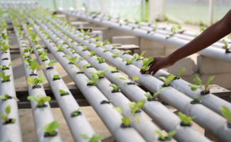 New Tissue Culture Lab to transform agri sector