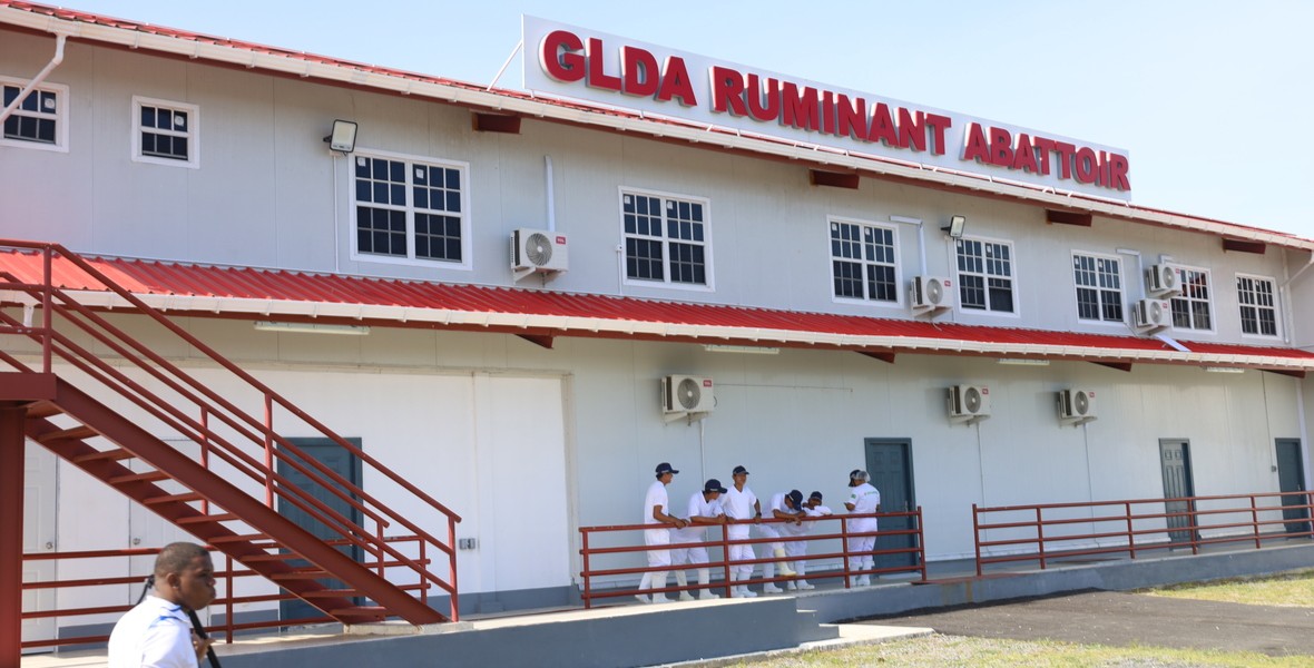 Agri. Ministry develops 300 acres to assist West Berbice small ruminantfarmers through pasture development programme