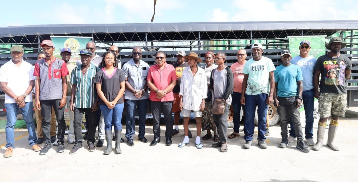 Nineteen farmers benefit from heifers to boost dairy production