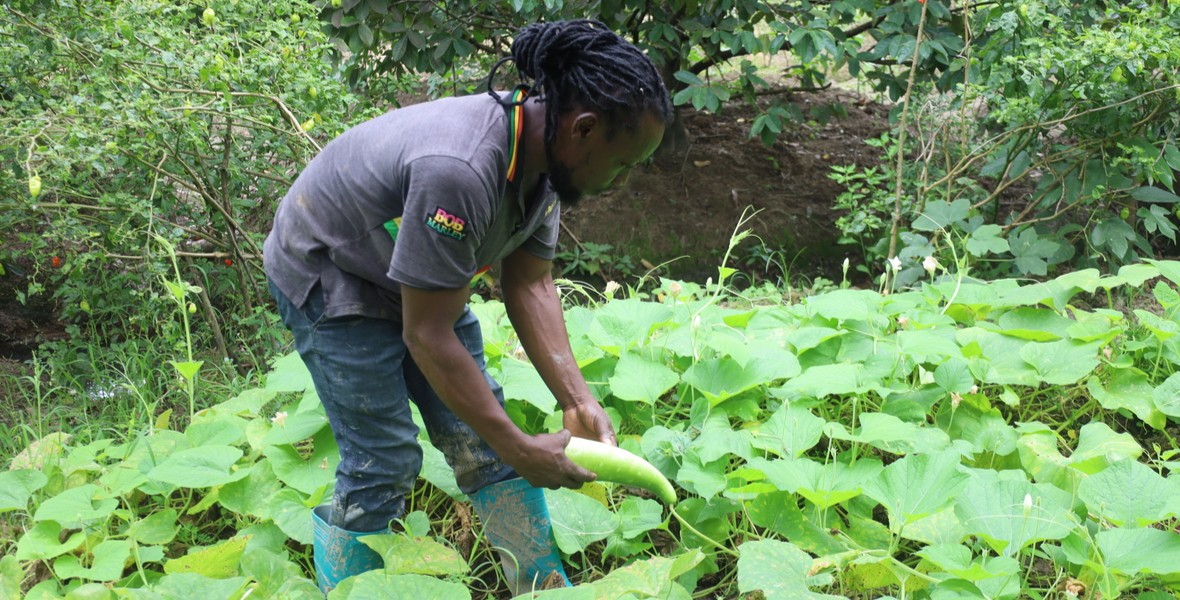 Buxton farmers credit collaboration with the gov’t for advancing agriculture
