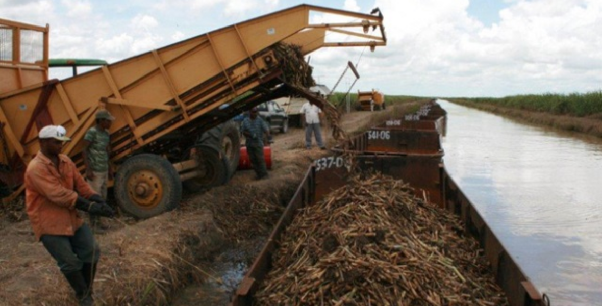 $8.4B in GuySuCo subvention allocated to wages, salaries