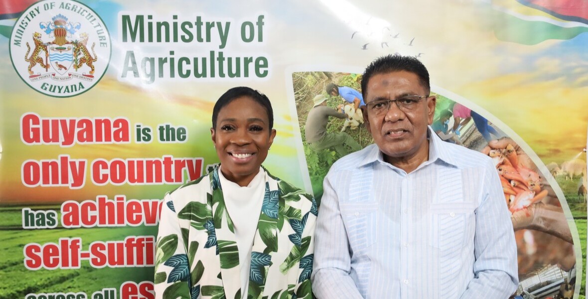 Black Belly Sheep population surpasses 3,000 heads as gov’t moves forward with developing regional brand – Min. Mustapha