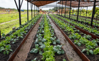 Kuru Kururu gets $5M shade house to boost agriculture