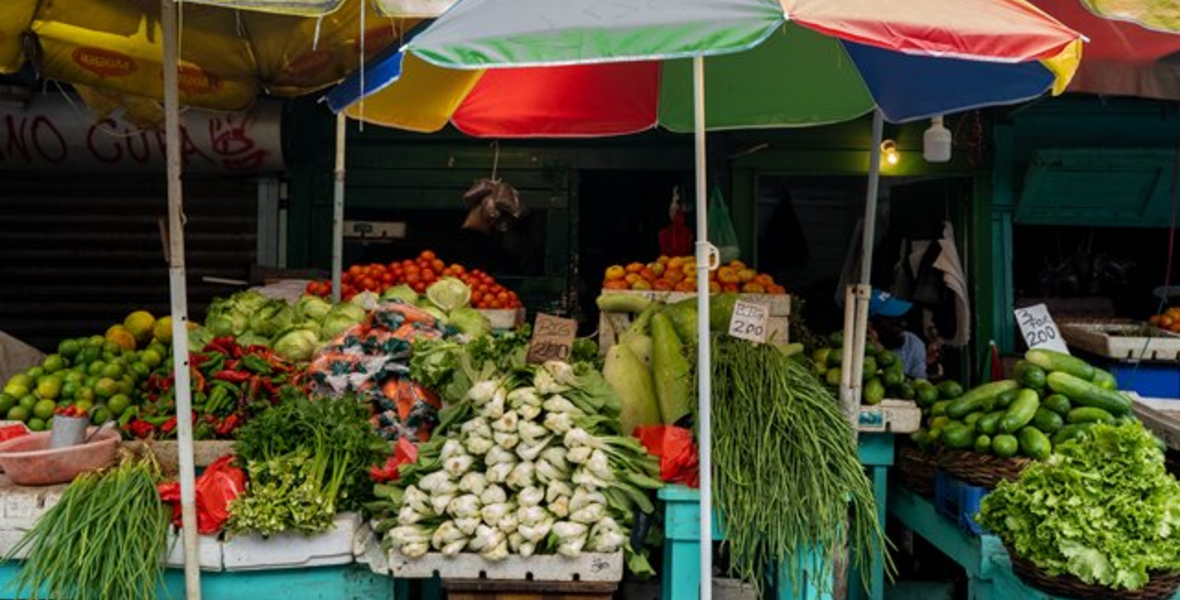 Government starts food safety initiative to strengthen agriculture